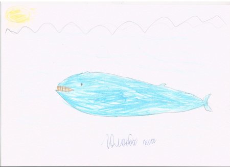 Кит поэтапное рисование