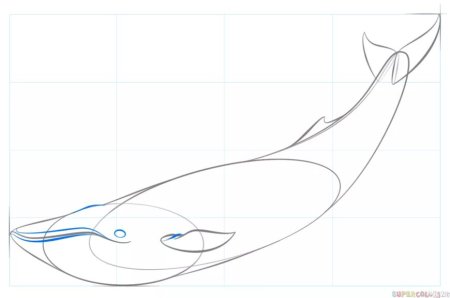 Синий кит рисунок карандашом поэтапно
