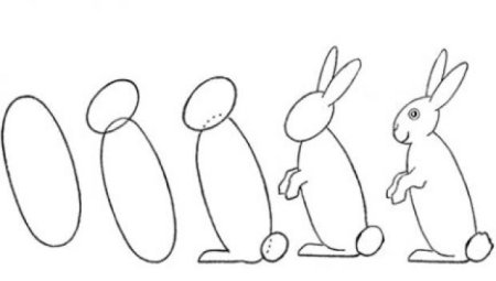 Поэтапное рисование зайца
