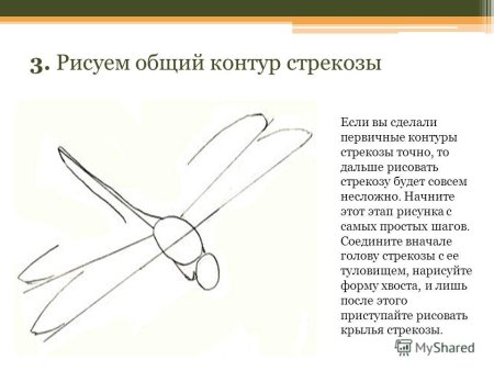 Схема рисования Стрекозы