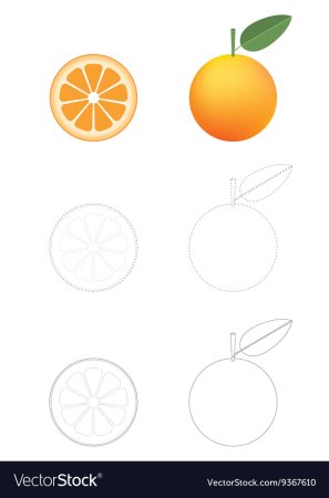 Долька апельсина карандашом