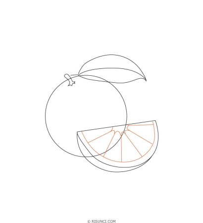 Мандарин карандашом