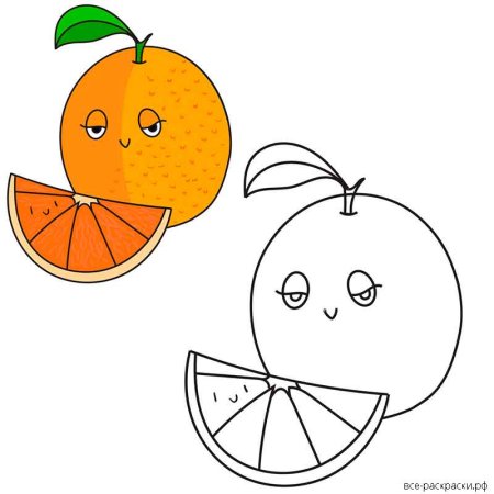 Мандарин акварелью скетчинг