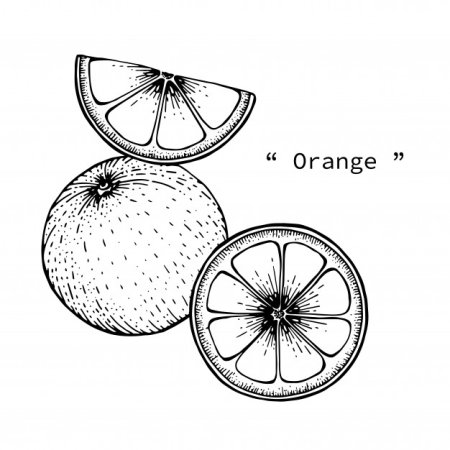 Апельсин рисунок для детей карандашом