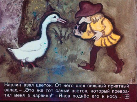 Карлик-нос сказка краткий пересказ