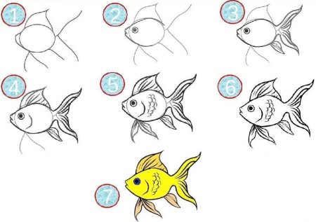 Рисование рыб для детей