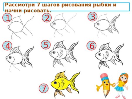 Этапы рисования рыбки 1 класс