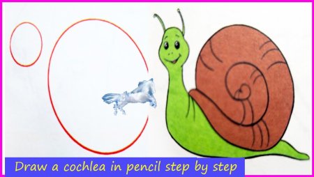 Улитка поэтапное рисование