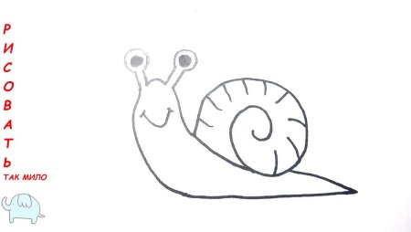 Улитка поэтапное рисование