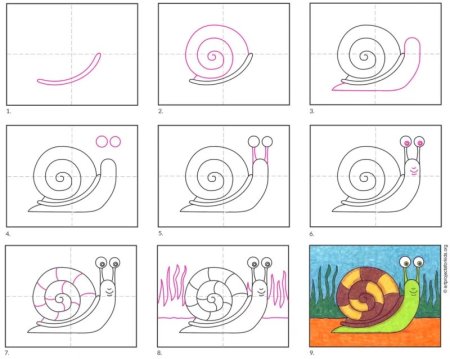 Поэтапный рисунок улитки
