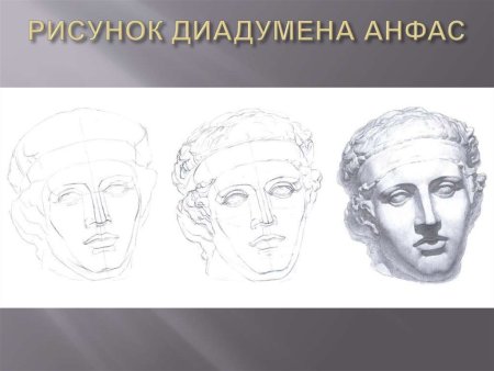 Диадумен Академический рисунок