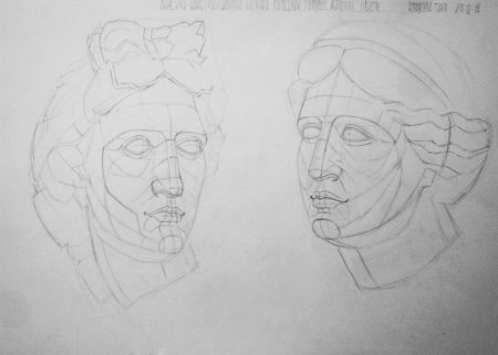 Гипсовая голова Венеры построение