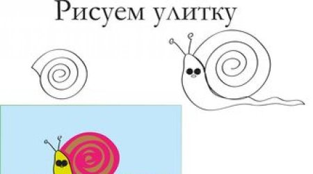 Улитка для срисовки