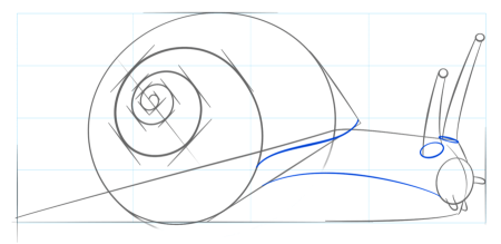 Голова улитки рисунок