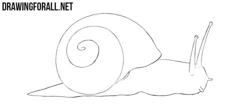 Улитка нарисовать легко