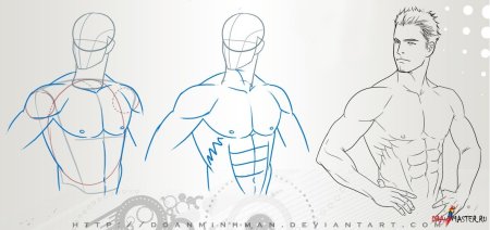 Рисовка накаченного тела