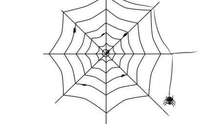 Рисование паутинки
