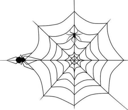 Поэтапное рисование паутины и паука