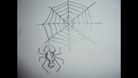 Нарисовать паучка