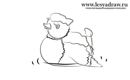 Серая шейка карандашом