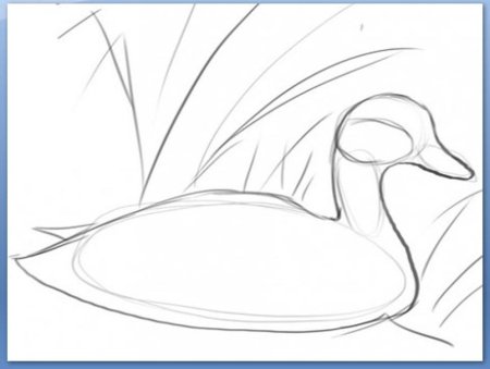 Рисование серая шейка