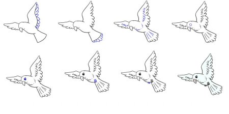 Раскадровка полета птицы