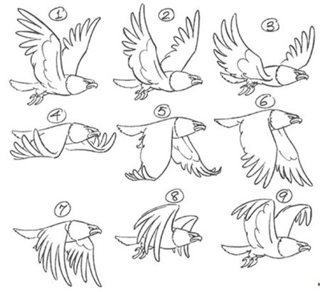 Рисование перелетные птицы поэтапно