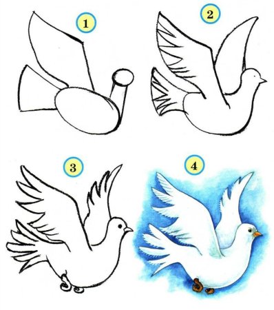 Схема рисования ласточки для дошкольников