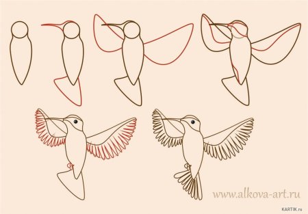 Этапы рисования ласточки