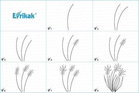 Схема рисования колоска