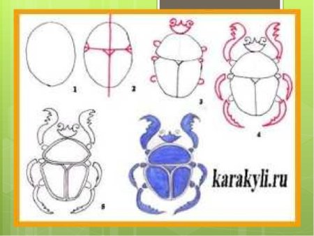 Поэтапное рисование жука скарабея