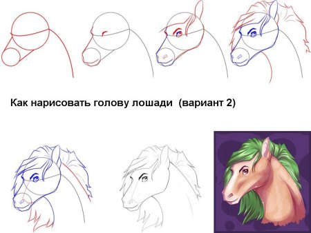 Как нарисовать лошадь поэтапно