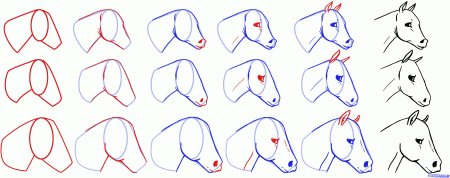 Рисунки с лошадьми очень легкие