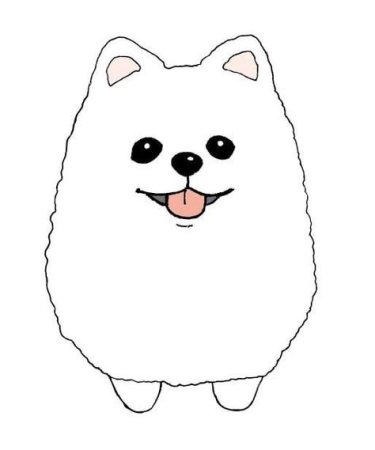 Шпиц раскраска для детей