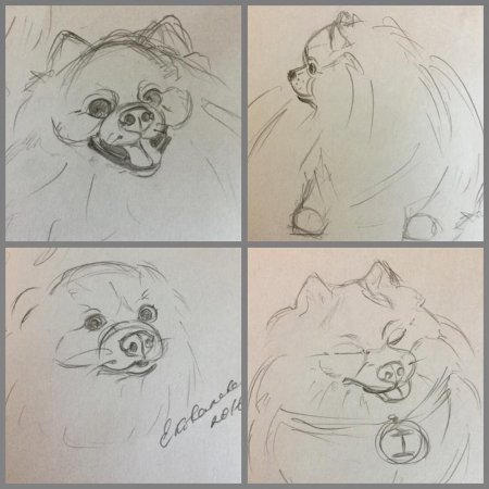 Скетч рисунки для начинающих пошагово