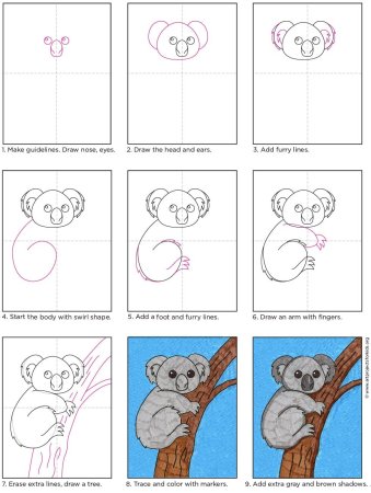 Коала нарисовать карандашом поэтапно