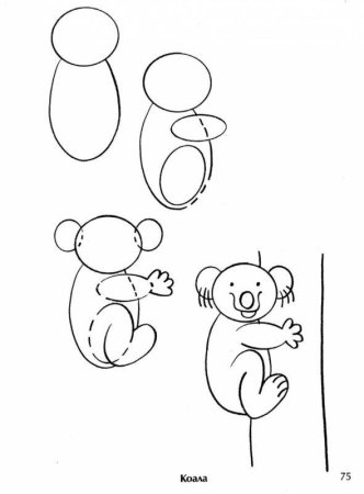 Поэтапное рисование коалы для детей