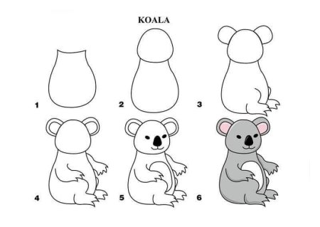 Как нарисовать коалу поэтапно