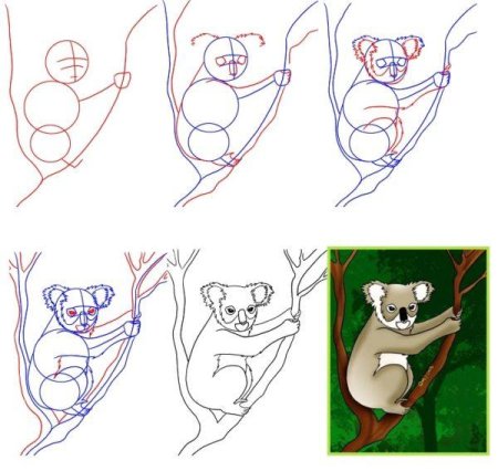 Нарисовать коалу поэтапно