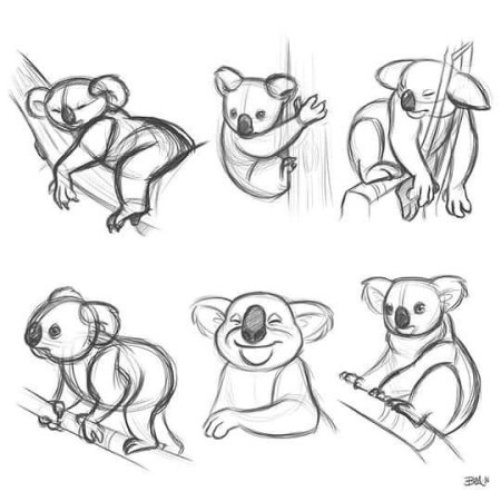 Нарисовать коалу