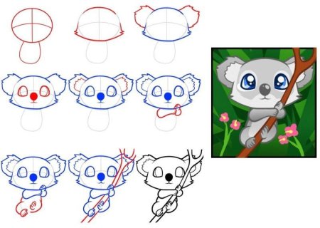 Пошаговый рисунок коалы для детей