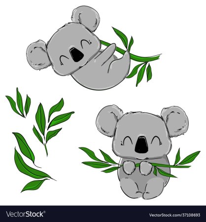 Рисование коала детям