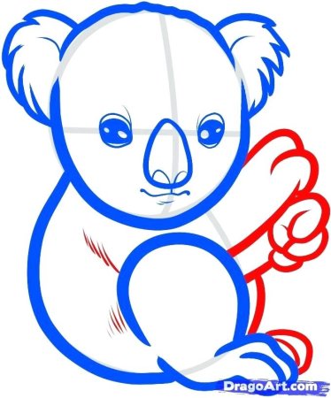 Как нарисовать коалу поэтапно