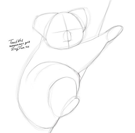 Поэтапный рисунок коалы