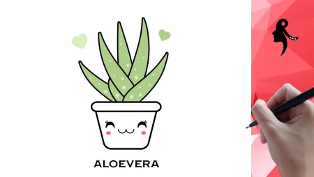 Алоэ схематично