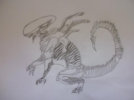 Поэтапное рисование ксеноморфа