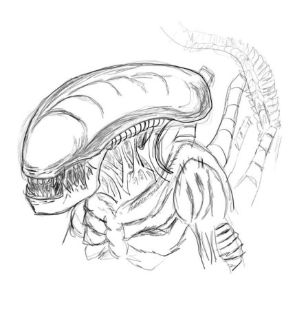 Раскраска мортал комбат чужой