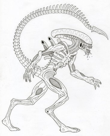 Чужой рисунок