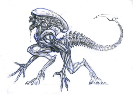 Анатомия ксеноморфа