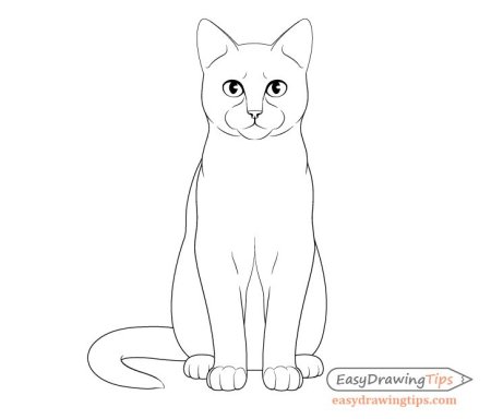 Кот сидит иллюстрация